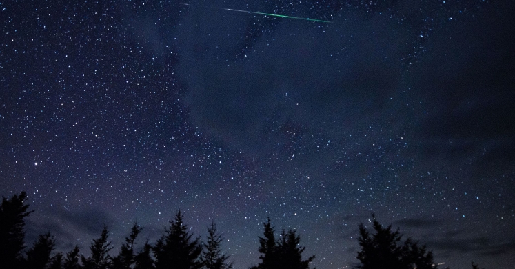 #bioPGH Blog: Perseid Meteor Shower