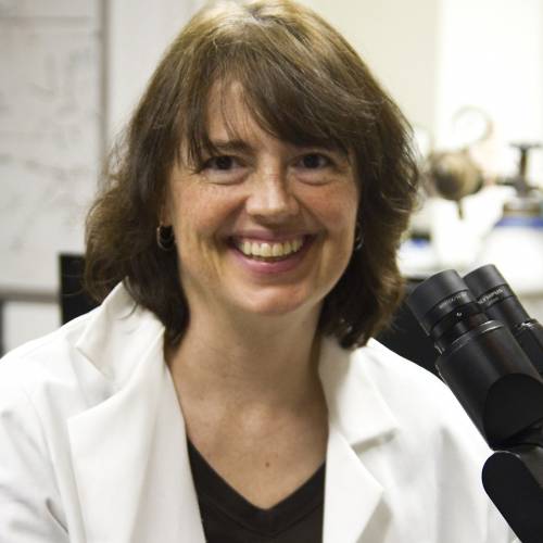 Meet a Scientist: Dr. Linda Peteanu