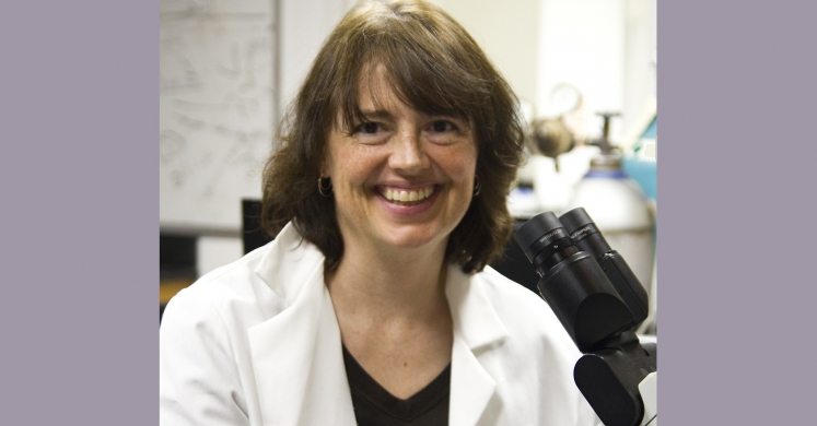 Meet a Scientist: Dr. Linda Peteanu