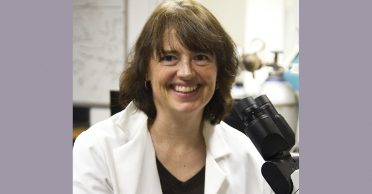 Meet a Scientist: Dr. Linda Peteanu Meet a Scientist: Dr. Linda Peteanu
