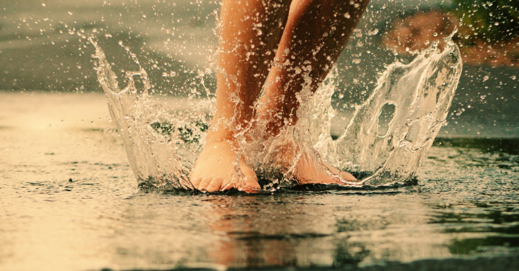 #bioPGH Blog: Cool Science for a Hot Summer Day! #bioPGH Blog: Cool Science for a Hot Summer Day!