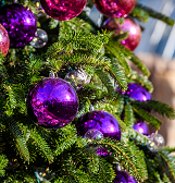 Holiday Magic! Winter Flower Show and Light Garden Holiday Magic! Winter Flower Show and Light Garden