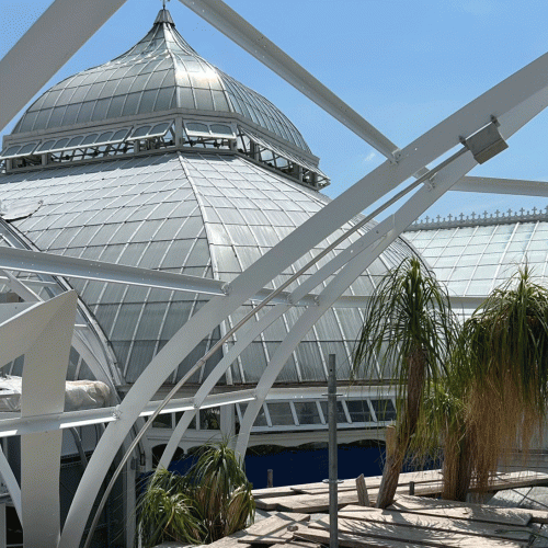 Glasshouse Renovations: Past and Present