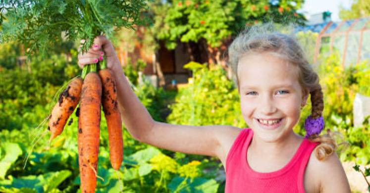 Riverview School District Replaces Basketballs with Fruits and Veggies