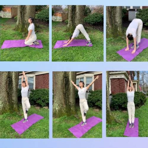 Backyard Seed Yoga