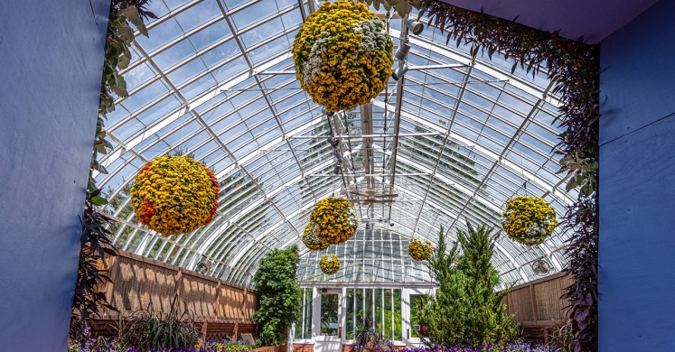 This Week at Phipps: May 27 – June 2 This Week at Phipps: May 27 – June 2