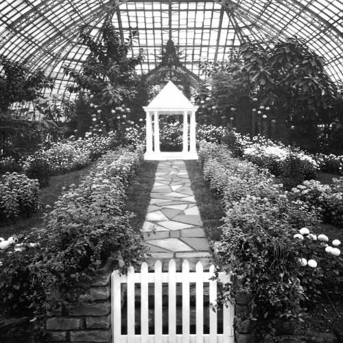 Restoring Our Glasshouse