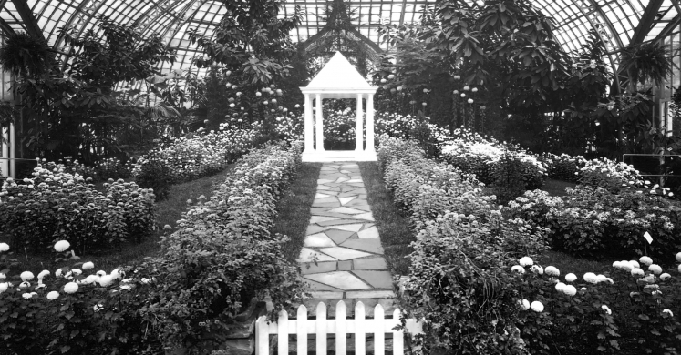 Restoring Our Glasshouse