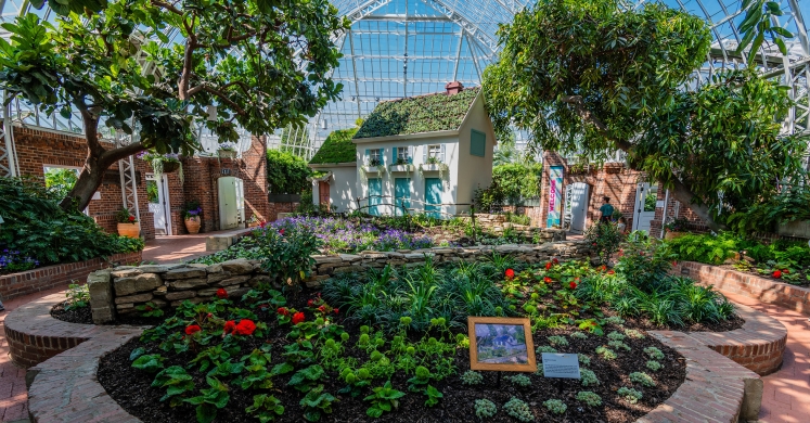 This Week at Phipps: May 20 – 26 This Week at Phipps: May 20 – 26