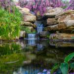 This Week at Phipps: Sept. 11 – 17