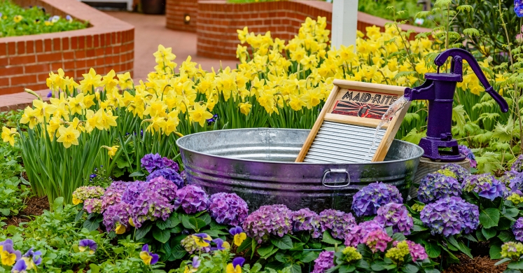 This Week at Phipps: March 19 – 25 This Week at Phipps: March 19 – 25