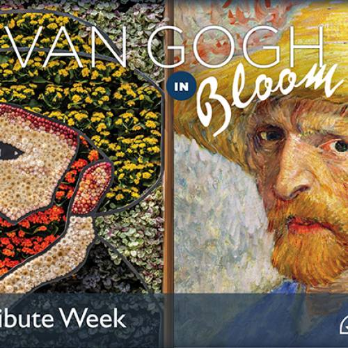 Van Gogh Tribute Week: July 29 – Aug. 4