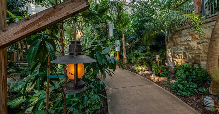 This Week at Phipps: Feb. 25 – Mar. 3 This Week at Phipps: Feb. 25 – Mar. 3