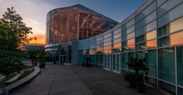 This Week at Phipps: June 10 – 16 This Week at Phipps: June 10 – 16