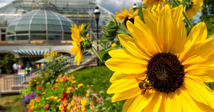 This Week at Phipps: July 25 – 31