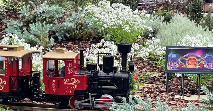 Garden Railroad: A Phipps Tradition