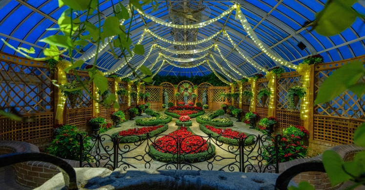 This Week at Phipps: Nov. 26 – Dec. 2 This Week at Phipps: Nov. 26 – Dec. 2