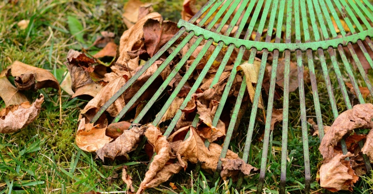 Fall Gardening Tips Fall Gardening Tips