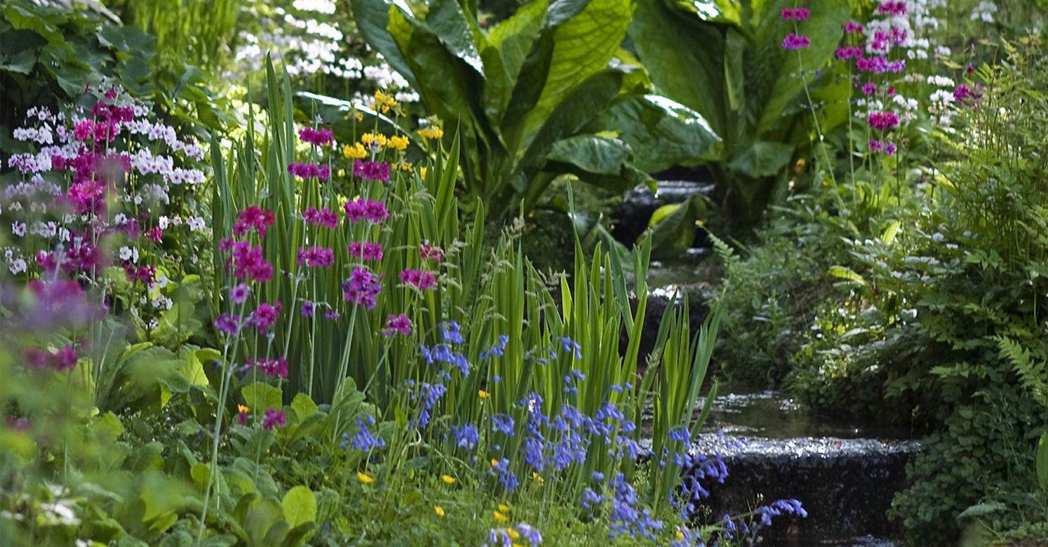 Ask Dr. Phipps Hillside Help Phipps Conservatory and Botanical