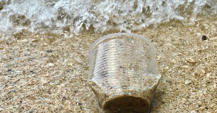 #bioPGH: In Honor of Shark Week, Reconsider Plastic! #bioPGH: In Honor of Shark Week, Reconsider Plastic!