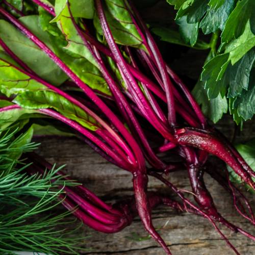 What We’re Cooking With Now: Beet Greens