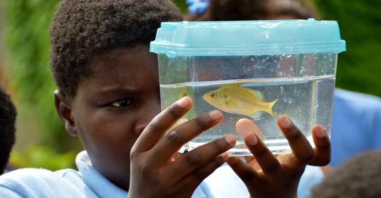 #bioPGH Blog: Bioblitz Results #bioPGH Blog: Bioblitz Results