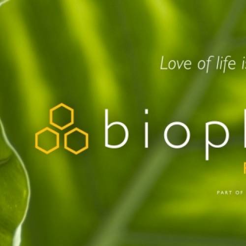 Join us for the August Biophilia Meeting with Robert S. Mulvihill of the National Aviary!