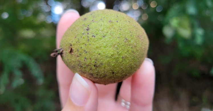 #bioPGH: A Nutty Feast! #bioPGH: A Nutty Feast!