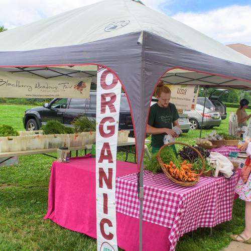 Featured Farmer: Blackberry Meadows Farm