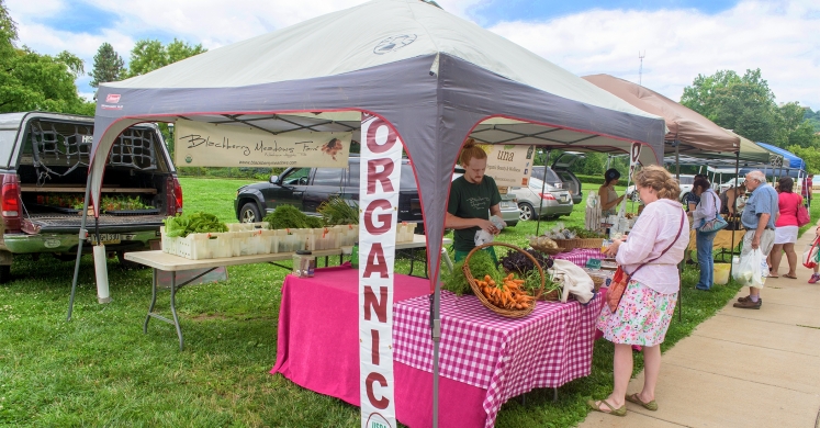 Featured Farmer: Blackberry Meadows Farm