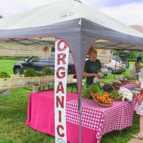 Featured Farmer: Blackberry Meadows Farm