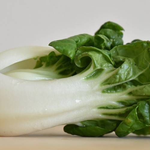 What We’re Cooking with Now: Bok Choy