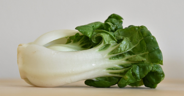 What We’re Cooking with Now: Bok Choy