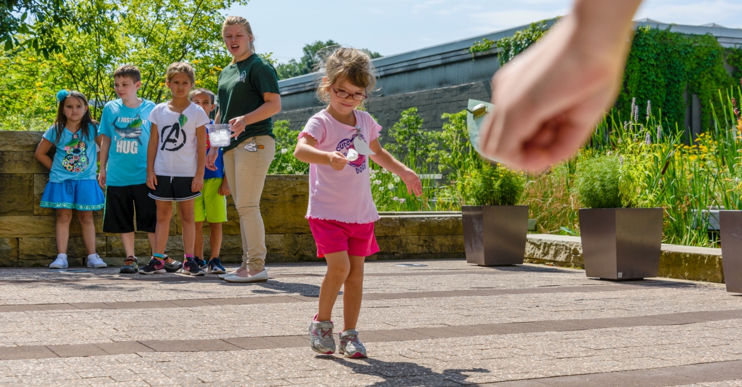 Summer Camp Recap Phipps to Table Phipps Conservatory and Botanical