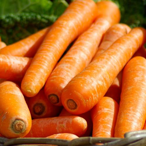 What We’re Cooking With Now: Carrots