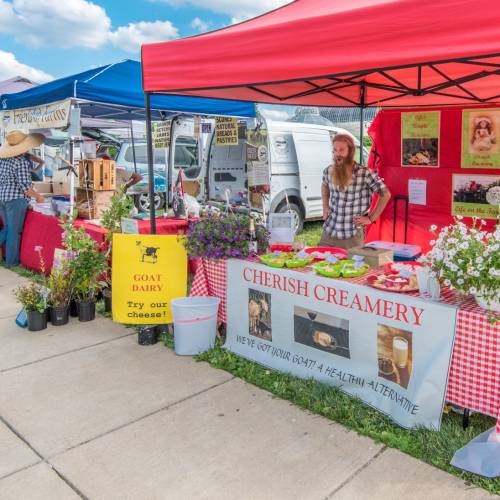 Featured Farmer: Cherish Creamery