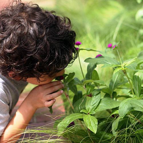 June is Great Outdoors Month: Celebrate by Going Outside!