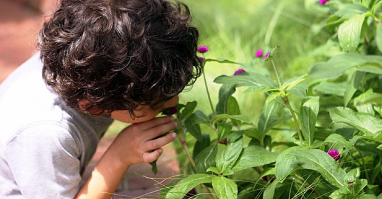 June is Great Outdoors Month: Celebrate by Going Outside!