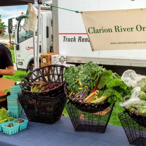 Featured Farmer: Clarion River Organics