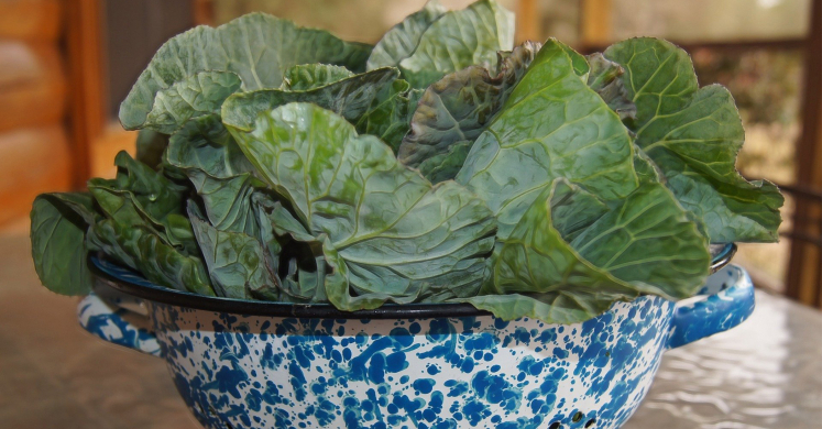 What We’re Cooking With Now: Collard Greens