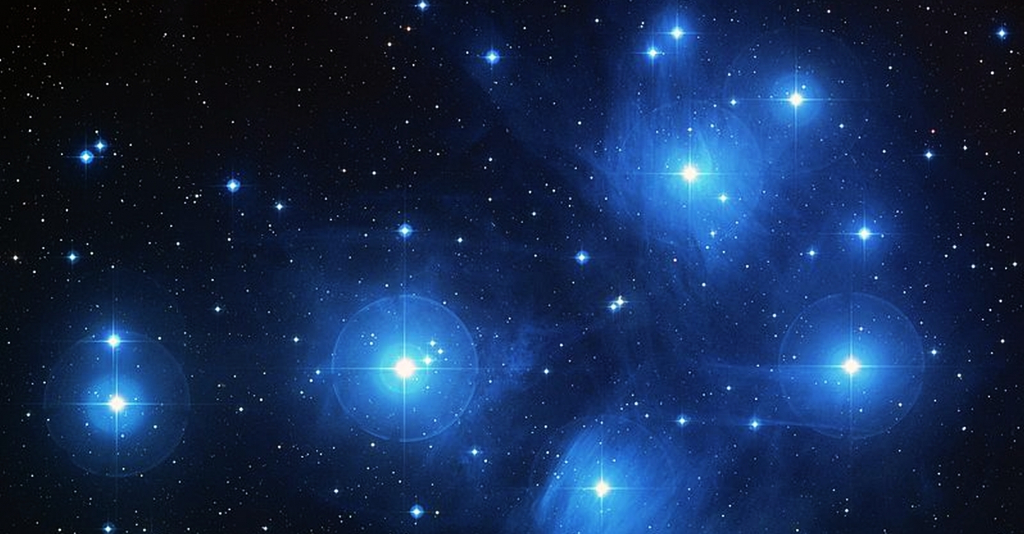 Biopgh Blog Winter Constellations Phipps Conservatory And