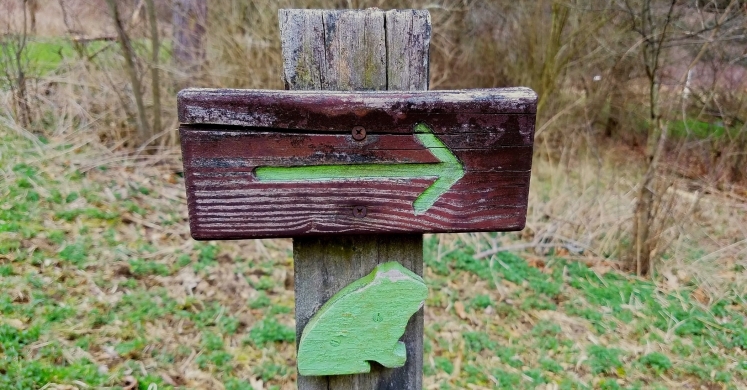 #bioPGH: Spring into the Outdoors! #bioPGH: Spring into the Outdoors!