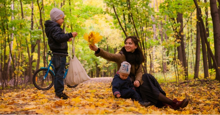 #bioPGH Blog: Instead of Black Friday…Biophilic Friday! #bioPGH Blog: Instead of Black Friday…Biophilic Friday!
