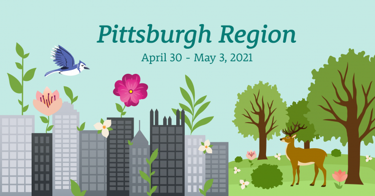 #bioPGH Blog: iNaturalist and the City Nature Challenge #bioPGH Blog: iNaturalist and the City Nature Challenge