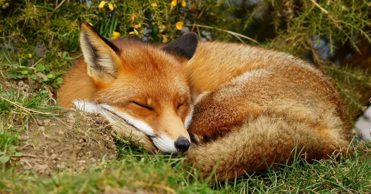#bioPGH Blog: Circadian Rhythms #bioPGH Blog: Circadian Rhythms