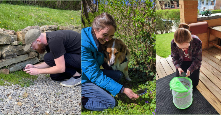 #bioPGH Blog: iNaturalist and the City Nature Challenge – Part Two #bioPGH Blog: iNaturalist and the City Nature Challenge – Part Two