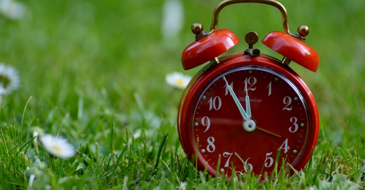 #bioPGH Blog: Nature’s Sense of Timing #bioPGH Blog: Nature’s Sense of Timing