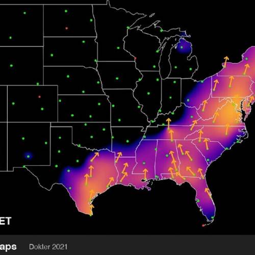 #bioPGH Blog: Spring Migration