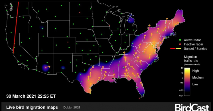 #bioPGH Blog: Spring Migration #bioPGH Blog: Spring Migration