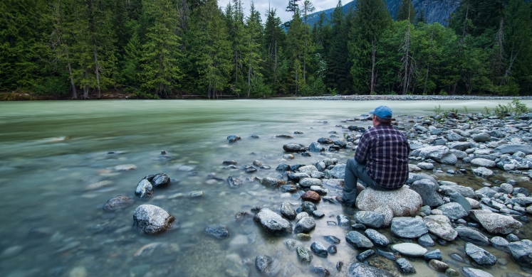 The Biophilic Mind: How close do you feel to nature? The Biophilic Mind: How close do you feel to nature?